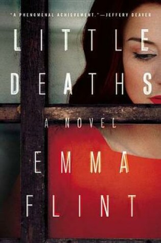 Cover of Little Deaths