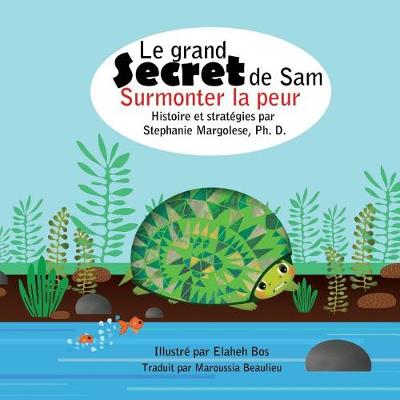 Cover of Le grand Secret de Sam