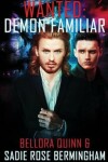 Book cover for Demon Familiar