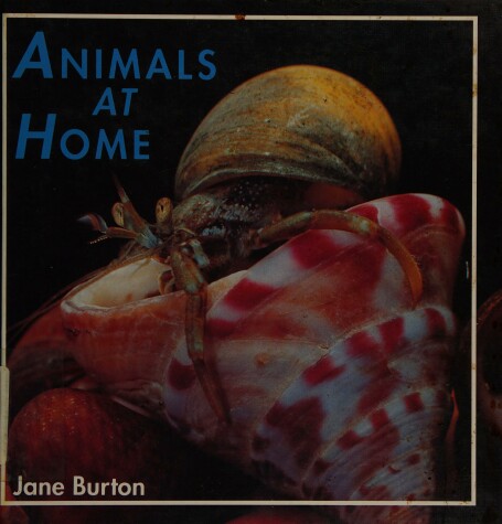 Book cover for Animals at Home, Burton, 2-4