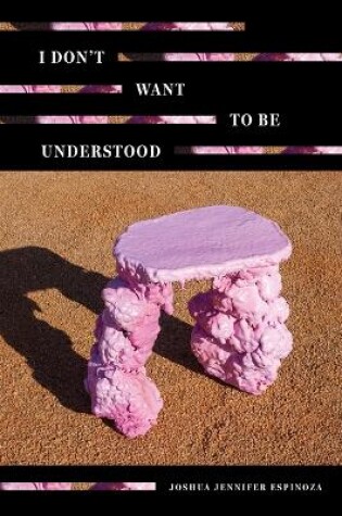 Cover of I Don't Want to Be Understood