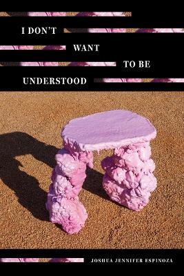 Book cover for I Don't Want to Be Understood