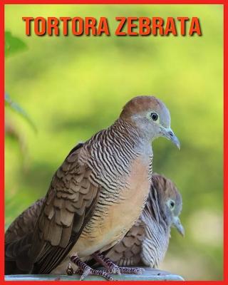 Book cover for Tortora Zebrata