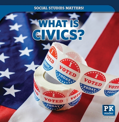 Book cover for What Is Civics?