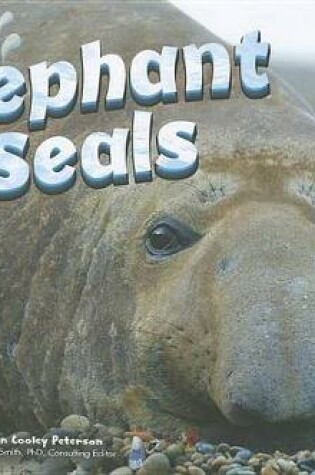 Cover of Elephant Seals