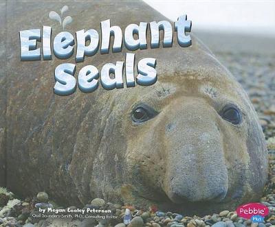 Book cover for Elephant Seals