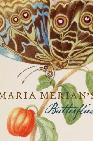 Cover of Maria Merian's Butterflies