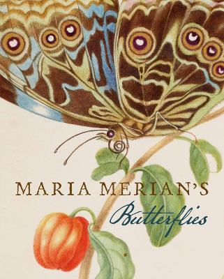 Book cover for Maria Merian's Butterflies