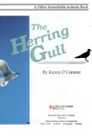 Cover of Herring Gull