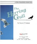 Book cover for Herring Gull