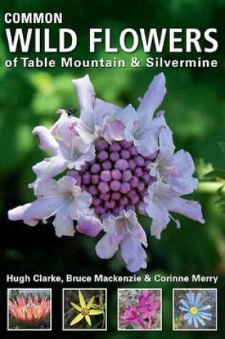 Cover of Common Wild Flowers of Table Mountain & Silvermine