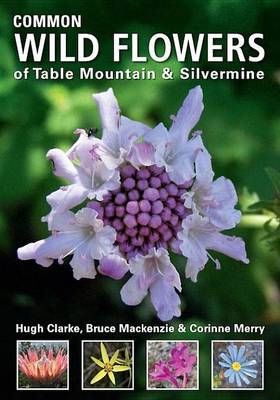 Book cover for Common Wild Flowers of Table Mountain & Silvermine