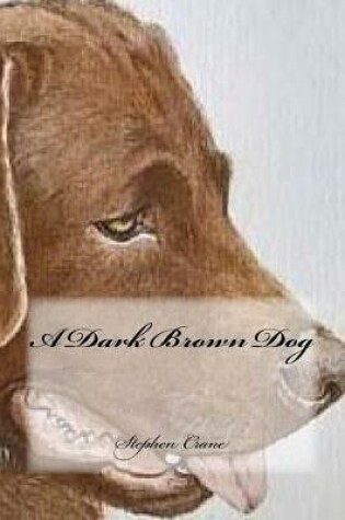 Cover of A Dark Brown Dog