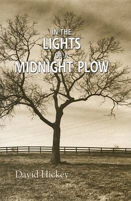 Book cover for In the Lights of a Midnight Plow