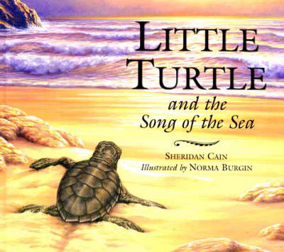 Book cover for Little Turtle and the Song of the Sea