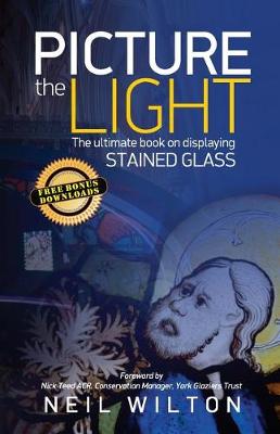 Book cover for Picture The Light
