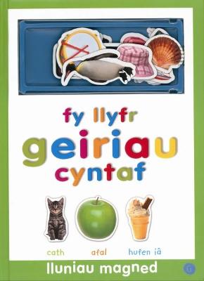 Book cover for Lluniau Magned: Fy Llyfr Geiriau Cyntaf