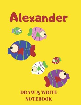 Book cover for Alexander Draw & Write Notebook