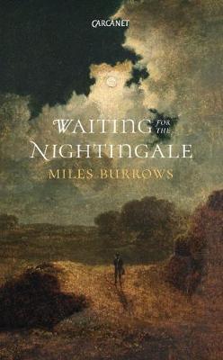 Book cover for Waiting for the Nightingale