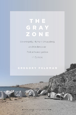 Book cover for The Gray Zone