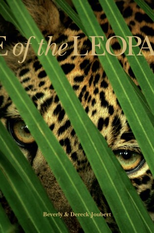 Cover of Eye of the Leopard