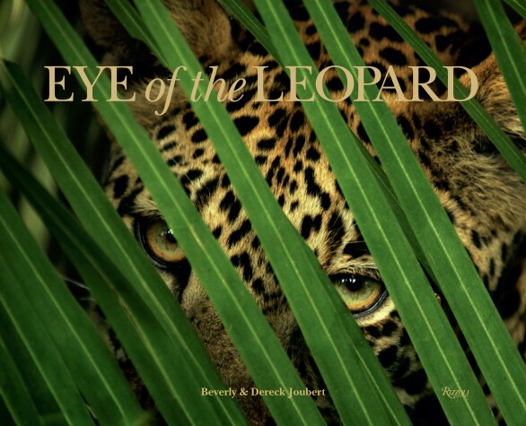 Book cover for Eye of the Leopard