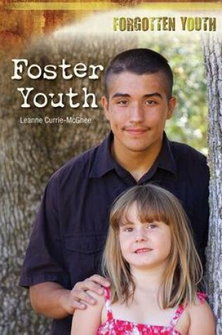 Cover of Foster Youth