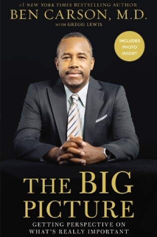 Cover of The Big Picture