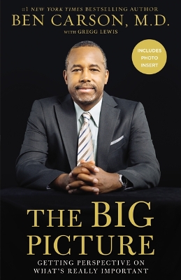 Book cover for The Big Picture