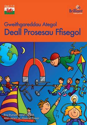 Book cover for Deall Prosesau Ffisegol