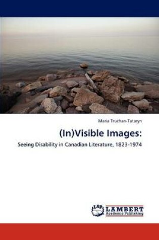 Cover of (In)Visible Images