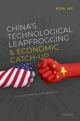 Book cover for China's Technological Leapfrogging and Economic Catch-up