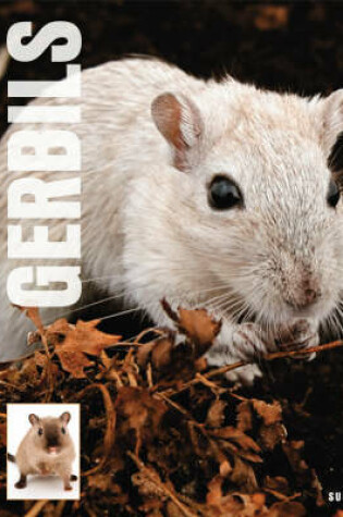 Cover of Gerbils