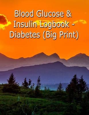 Book cover for Blood Glucose & Insulin Logbook- Diabetes (Big Print)