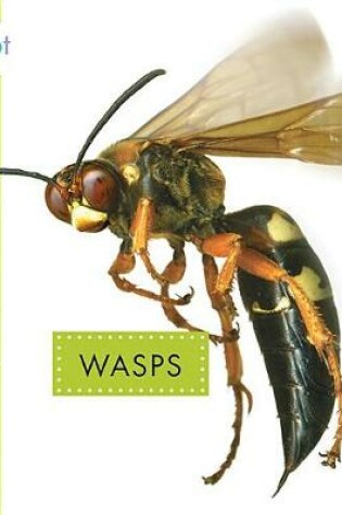 Cover of Wasps