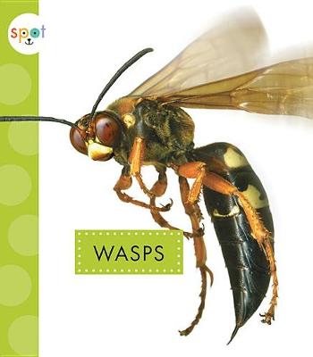 Cover of Wasps