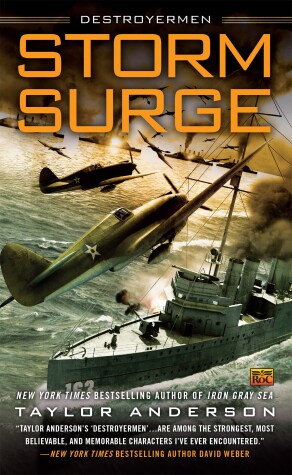 Cover of Storm Surge