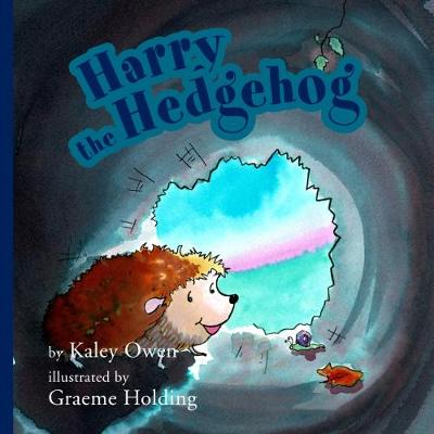 Book cover for Harry the Hedgehog