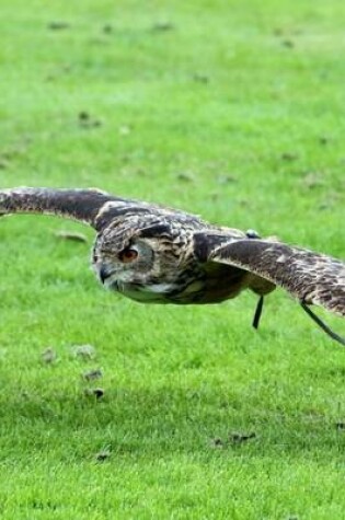 Cover of Eurasian Eagle Owl Flying Over the Grass