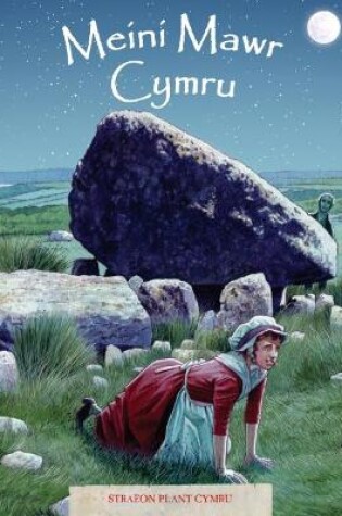 Cover of Cyfres Straeon Plant Cymru 5: Meini Mawr Cymru