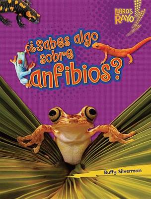 Book cover for Sabes Algo Sobre Anfibios? (Do You Know about Amphibians?)