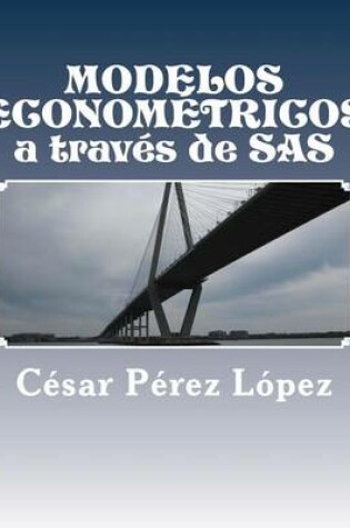 Cover of Modelos Econometricos a Traves de SAS