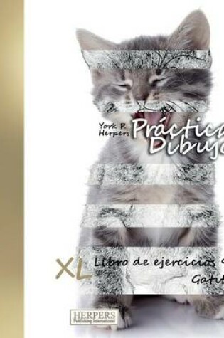 Cover of Práctica Dibujo - XL Libro de ejercicios 9