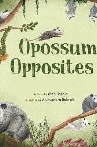 Cover of Opossum Opposites