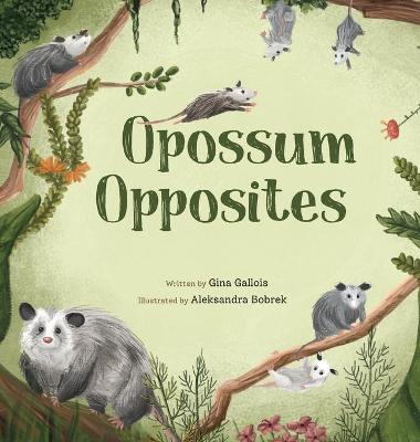 Book cover for Opossum Opposites