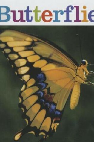 Cover of Butterflies