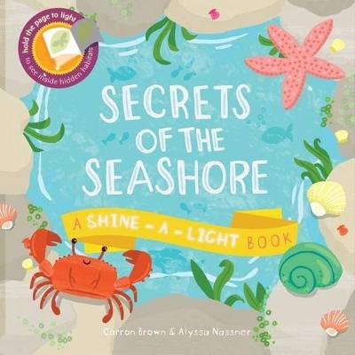 Book cover for Secrets of the Seashore