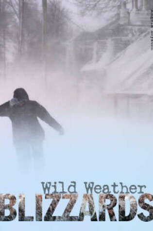 Cover of Blizzards