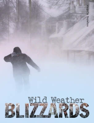 Book cover for Blizzards