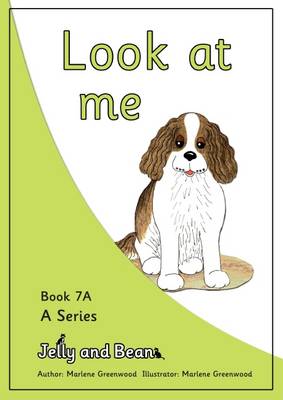 Book cover for Look at Me